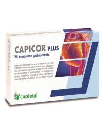 CAPICOR PLUS 30CPR GASTROPROT