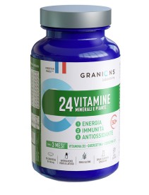 GRANIONS 24Vit&Min.Piant.90Cpr