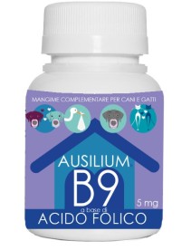 AUSILIUM B9 ACIDO FOLIC 100G VET