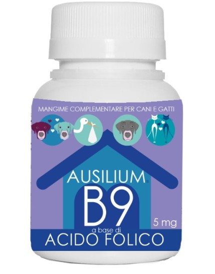 AUSILIUM B9 ACIDO FOLIC 100G VET