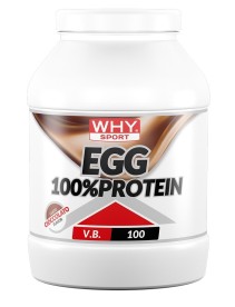 WHYSPORT EGG 100% PROTEIN CIOC