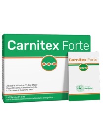 CARNITEX Forte*14 Bust.