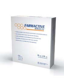 FARMACTIVE Sch.St.10x10 10pz