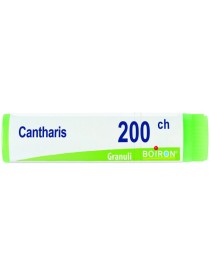 BO.CANTHARIS Dose  200CH