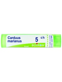 BO.CARDUUS MAR.Tubo  5CH