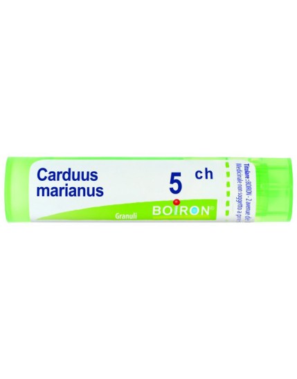 BO.CARDUUS MAR.Tubo  5CH