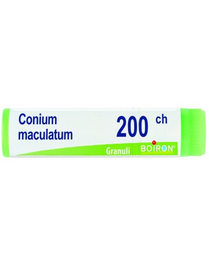 BO.CONIUM MACUL.Dose 200CH