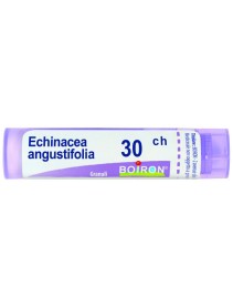 BO.ECHINACEA ANG.Tubo 30CH