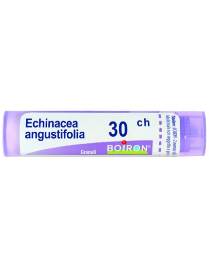 BO.ECHINACEA ANG.Tubo 30CH