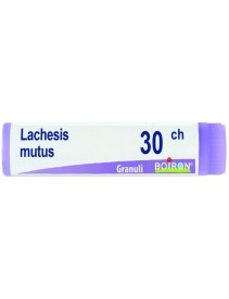 BO.LACHESIS MUT.Dose   30CH