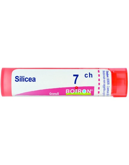 Silicea 7ch Gr