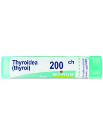 Thyroidinum 200ch Gr