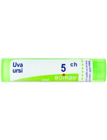 UVA URSI 5CH GR BO