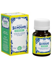 SOLUZIONE SCHOUM DIGEST 20FIZZ