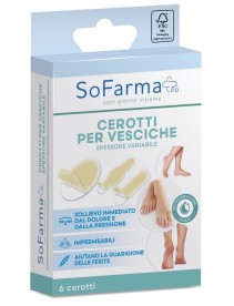 CEROTTO VESCICA ASS SF