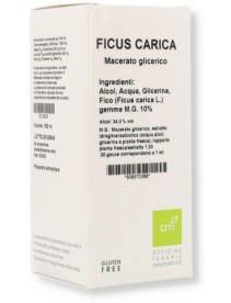 FICUS CARICA MG10% GOCCE 100ML