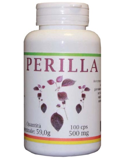 PERILLA 100CPS