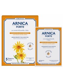 ARNICA Fte Cerotti 5pz     ERM