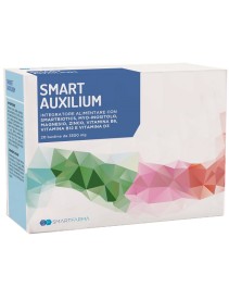 SMART Auxilium 20 Bust.