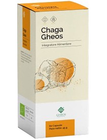 CHAGA 60 Cps 750mg