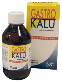 GASTROKALU 200ML