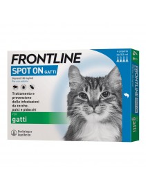 Frontline Spot On Gatti 4 pipette 0,5ml