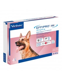Effipro Duo Spot-On Cani 20-40Kg 4 Pipette
