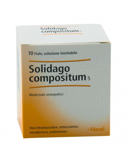 Guna Solidago Compositum s Heel 10 fiale 2,2ml
