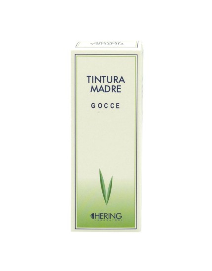 GINKGO BILOBA 60ML TM