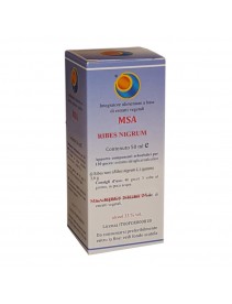 MSA Ribes Nigrum 50ml