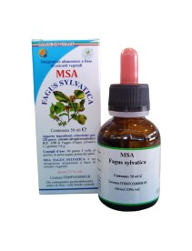 MSA FAGUS SYLVATICA 50ML