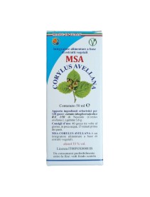 MSA CORYLUS AVELLANA 50ML