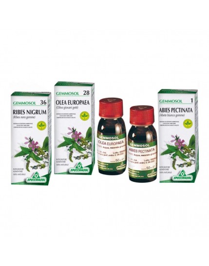 Gemmosol 36 Ribes Nero 100ml