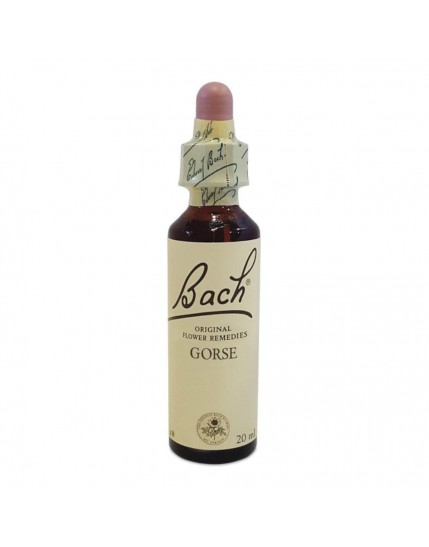 BACH CENTER ESS GORSE 20ML