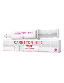 CARNITON B12 Pasta Sir.100g