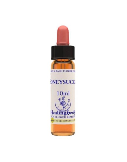 HONEYSUCKLE ESS 10ML INGL HERB