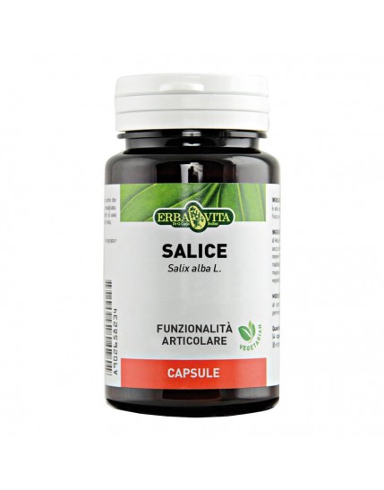 SALICE 60 Cps 450mg        EBV