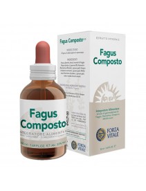 ECOSOL Fagus Comp.50ml