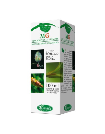 IPPOCASTANO 100ML MG