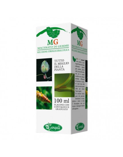 NOCE 100ML MG