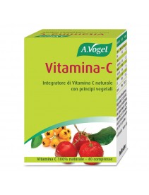 FdL Vitamina C 40 Past.41,5g