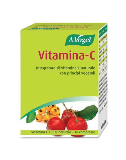 FdL Vitamina C 40 Past.41,5g