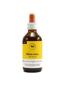 RIBES GEMME 100ML MG