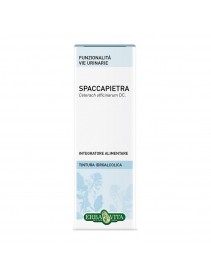 SPACCAPIETRA TINT IAL 50ML EBV