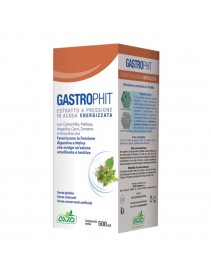 Gastrophit 500ml