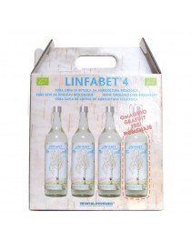 Linfabet 4 Bottiglie Alla Betulla 2800ml