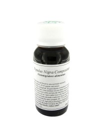 LVS 43N Populus Nigra Comp.