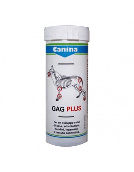 GAGPLUS 200g ca.120 Cpr