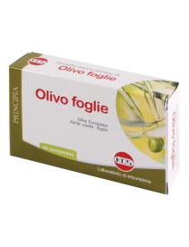 OLIVO FOGLIE ESTR SEC 60CPR