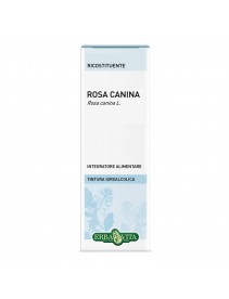 ROSA CANINA BACC TINT IAL100ML